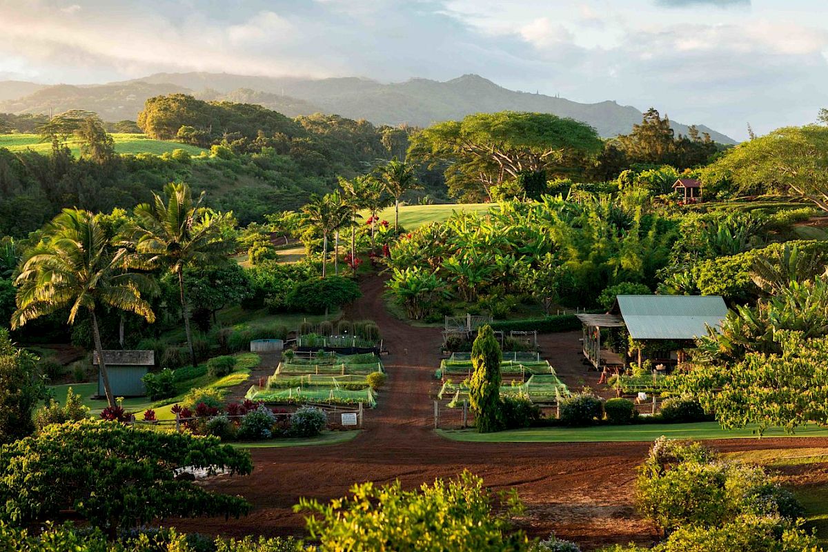 The image shows a lush, tropical landscape with extensive greenery, a variety of trees, garden plots, and a small building set against a mountainous backdrop.