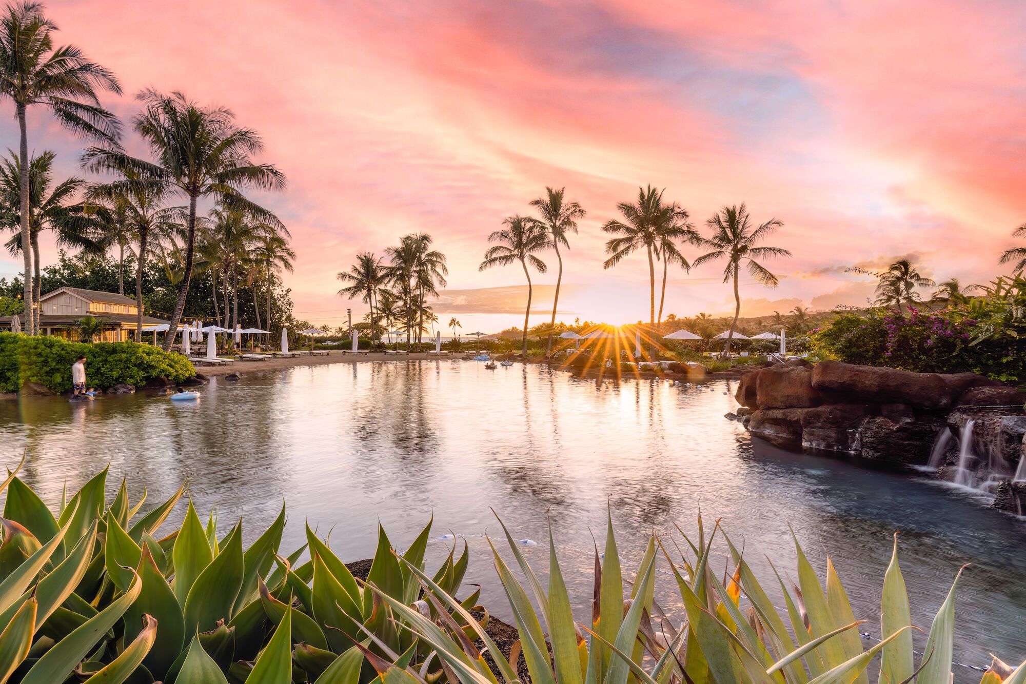 A tropical backyard pool scene at sunset with palm trees, a calm water feature, and lush plants in the foreground, all bathed in pink-orange light.
