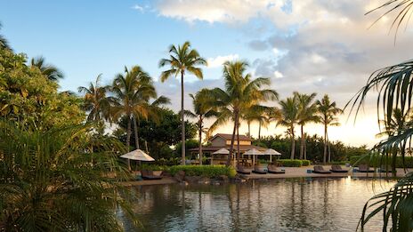The image features a serene tropical scene with palm trees, a calm body of water, and lounge chairs near a resort-like setting.