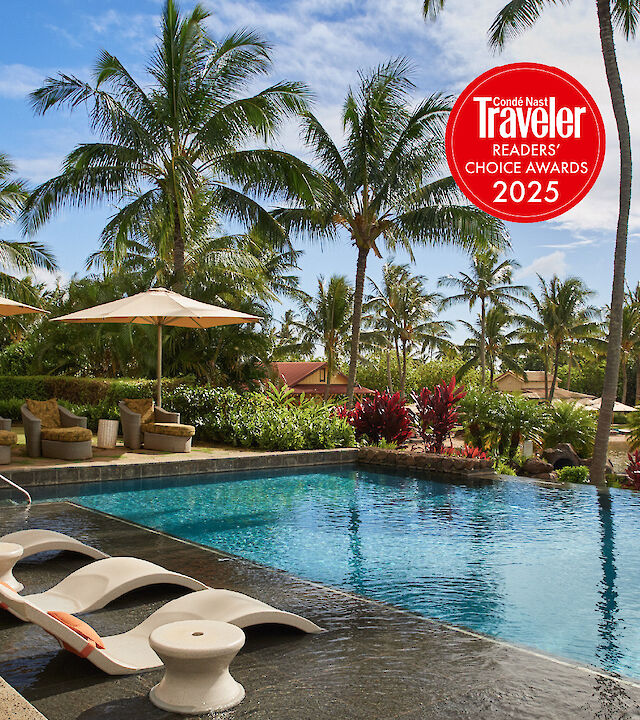 A tropical pool scene with lounge chairs, umbrellas, palm trees, and a red “Travelers Choice Awards 2025” badge.