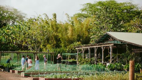 People walk past a long greenhouse or garden with raised beds and a wooden shelter, in a lush, green outdoor setting.